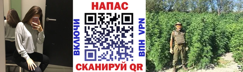 Бошки марихуана сатива  Лесосибирск 